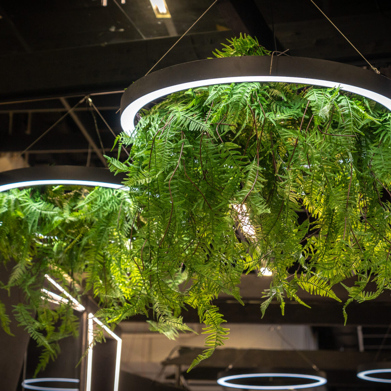 radiustech.production.produktsioon.tradeshow.stand.expo_savvy_messid_019