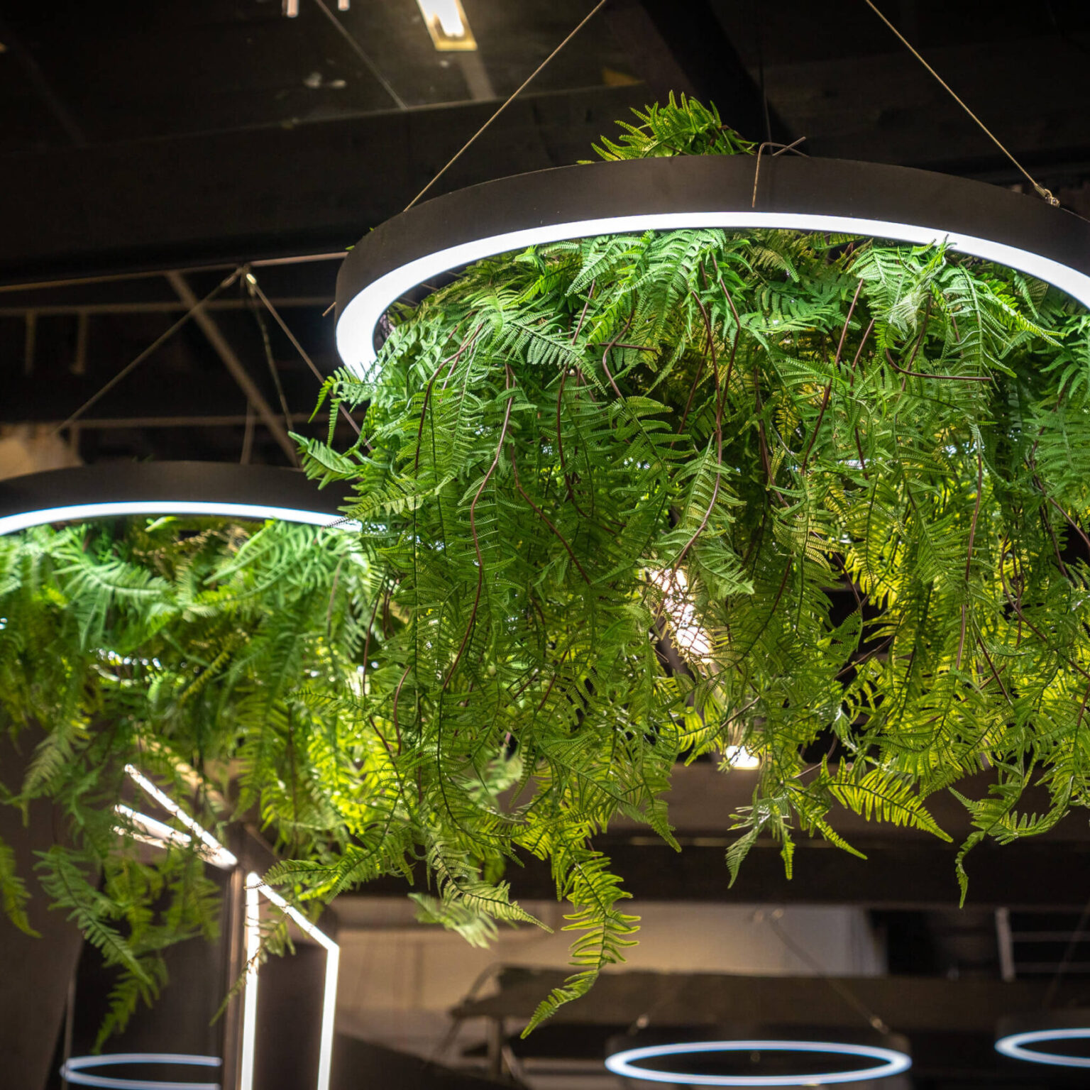 radiustech.production.produktsioon.tradeshow.stand.expo_savvy_messid_019